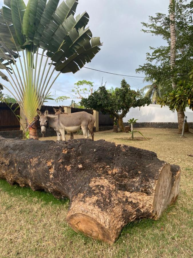 Roca Vale Dos Prazeres Villa Sao Tome Esterno foto